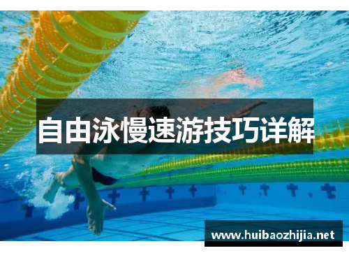 自由泳慢速游技巧详解