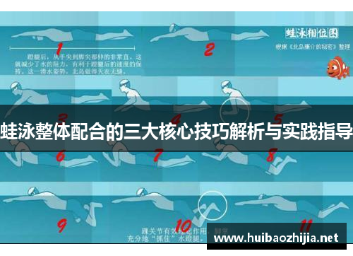 蛙泳整体配合的三大核心技巧解析与实践指导